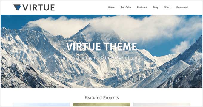 Virtue Virtue