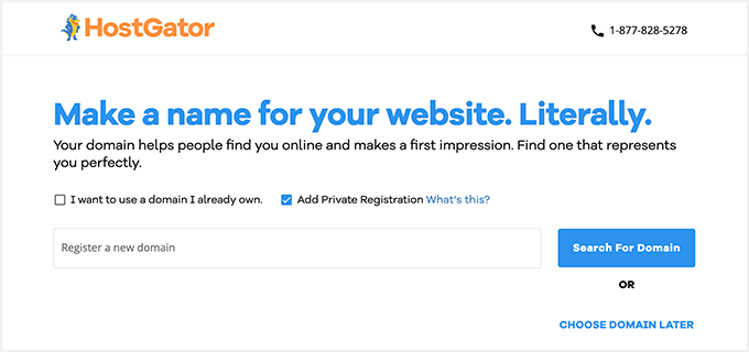 Choose your free domain name
